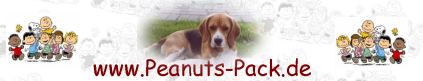 Beagle vom Peanuts Pack