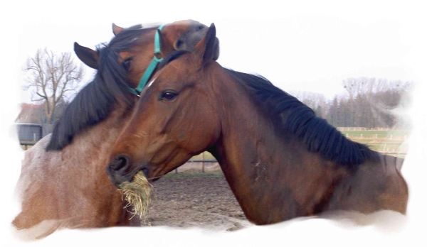 Fabienne und Colorado