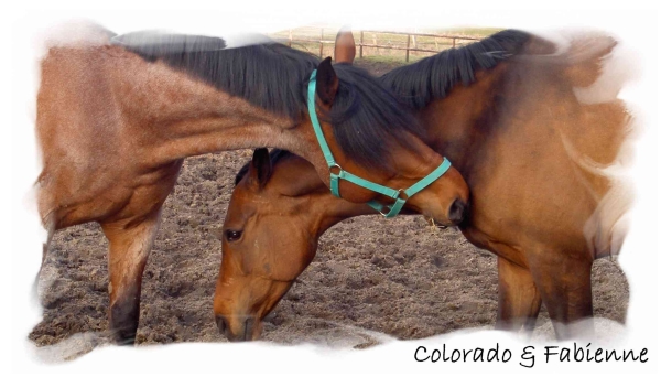 Fabienne und Colorado