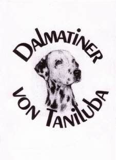 Dalmatiner von Taniluba